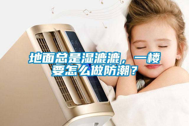 地面總是濕漉漉，一樓要怎么做防潮？