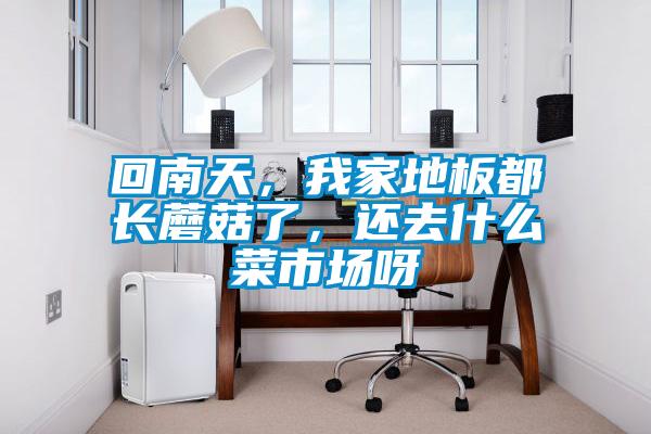 回南天，我家地板都長蘑菇了，還去什么菜市場呀