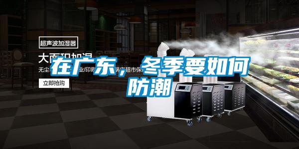 在廣東，冬季要如何防潮