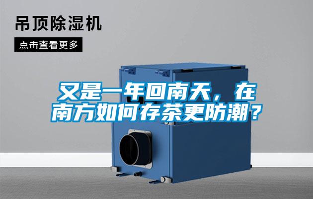 又是一年回南天，在南方如何存茶更防潮？