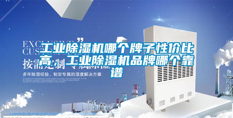 工業(yè)除濕機(jī)哪個(gè)牌子性價(jià)比高，工業(yè)除濕機(jī)品牌哪個(gè)靠譜