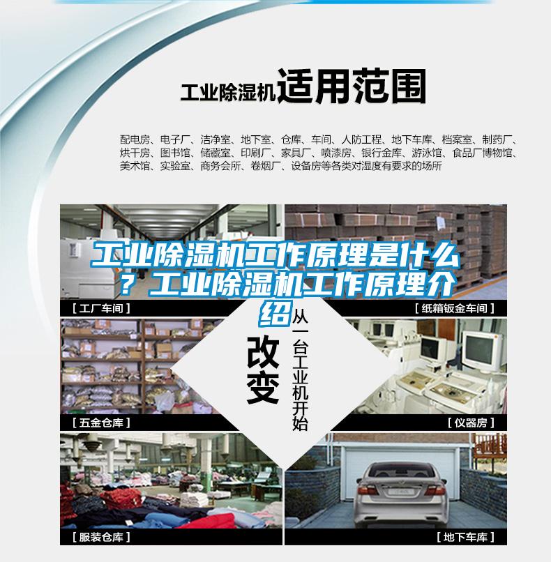 工業除濕機工作原理是什么 ？工業除濕機工作原理介紹