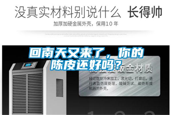 回南天又來了，你的陳皮還好嗎？