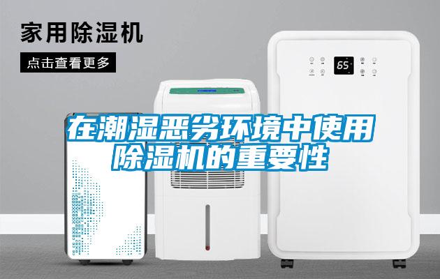 在潮濕惡劣環境中使用除濕機的重要性