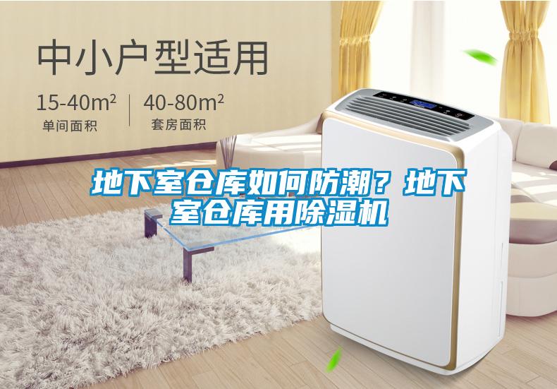 地下室倉庫如何防潮？地下室倉庫用除濕機(jī)