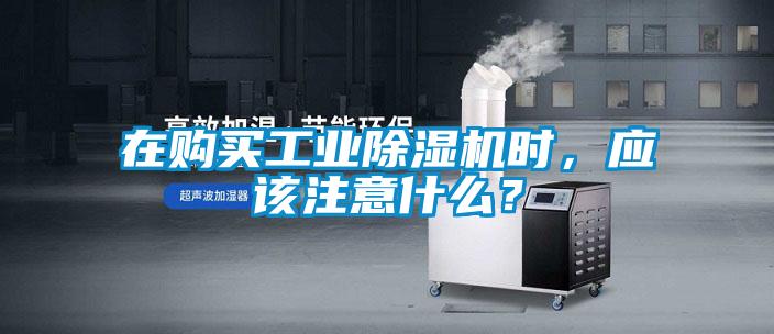 在購(gòu)買工業(yè)除濕機(jī)時(shí)，應(yīng)該注意什么？