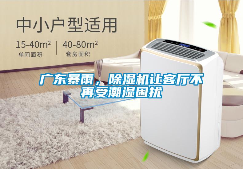 廣東暴雨，除濕機讓客廳不再受潮濕困擾