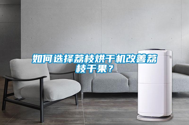 如何選擇荔枝烘干機改善荔枝干果？