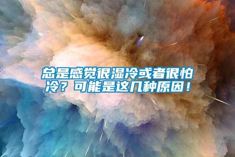 總是感覺很濕冷或者很怕冷？可能是這幾種原因！