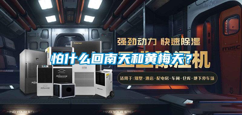 怕什么回南天和黃梅天？
