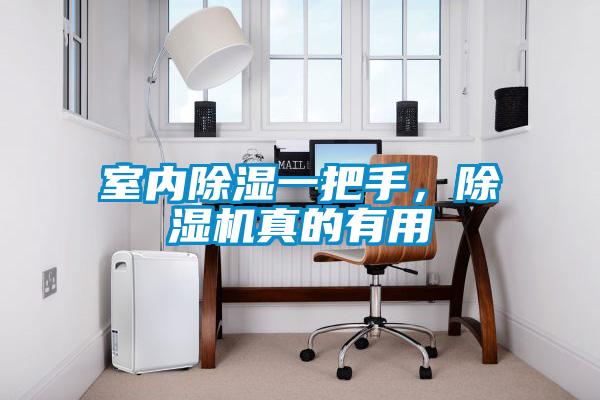 室內(nèi)除濕一把手，除濕機(jī)真的有用