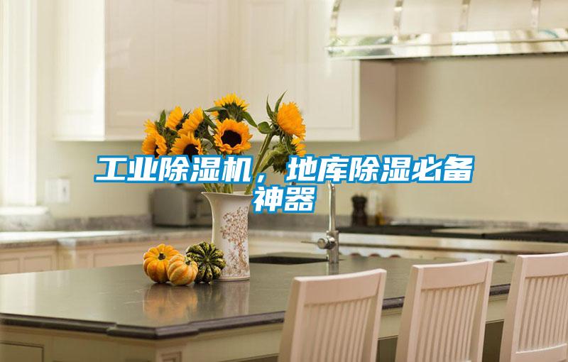 工業(yè)除濕機，地庫除濕必備神器