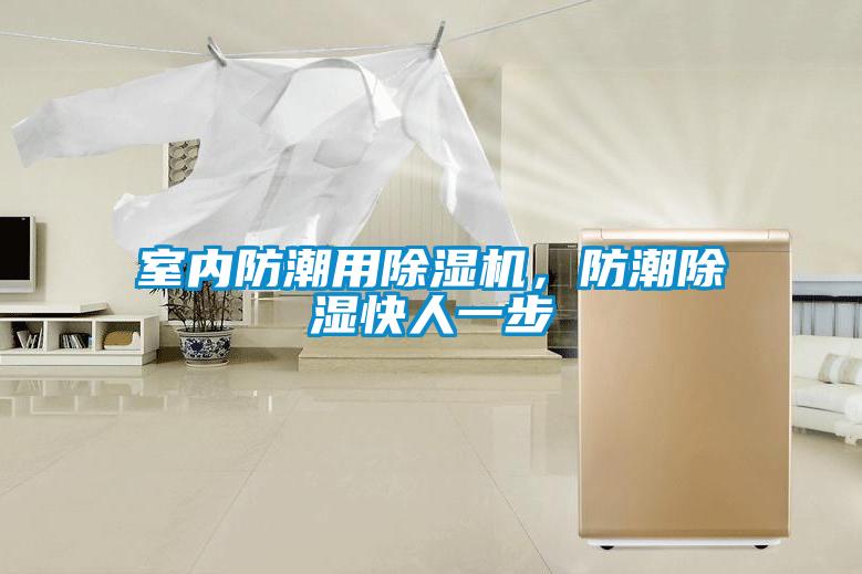 室內(nèi)防潮用除濕機，防潮除濕快人一步