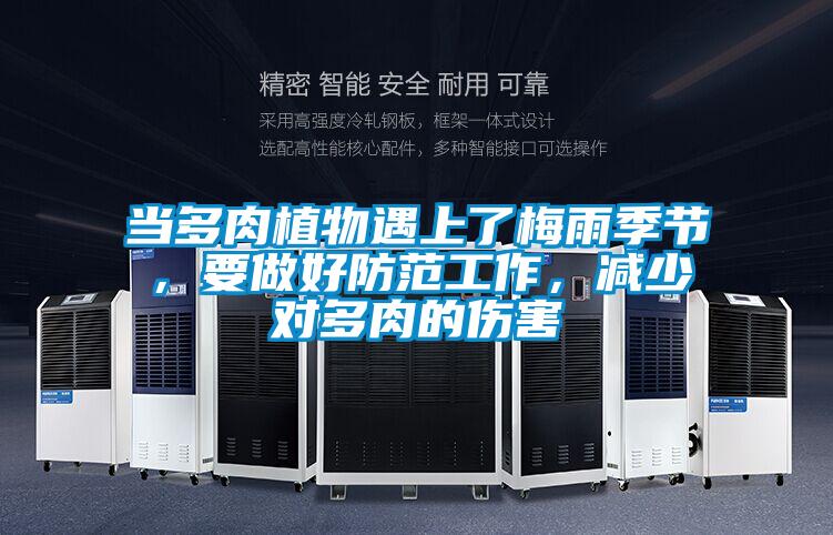 當(dāng)多肉植物遇上了梅雨季節(jié)，要做好防范工作，減少對多肉的傷害