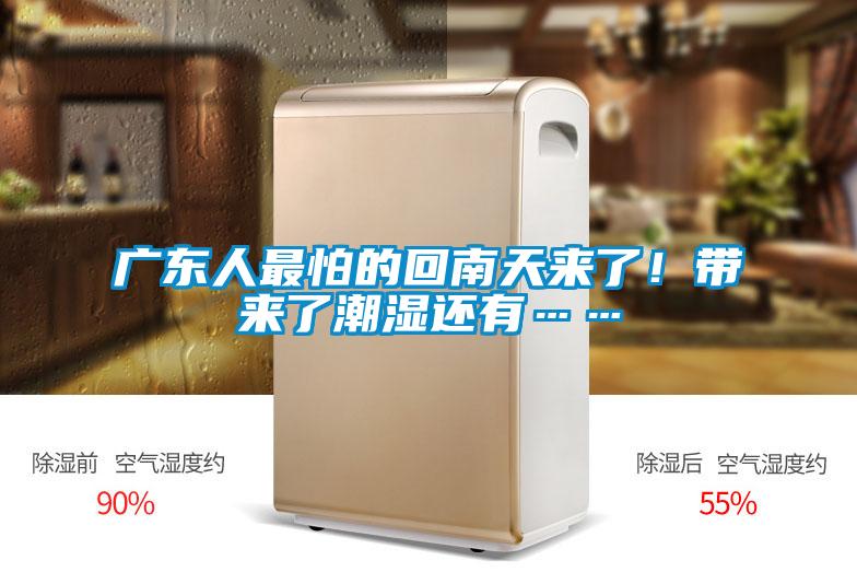 廣東人最怕的回南天來了！帶來了潮濕還有……