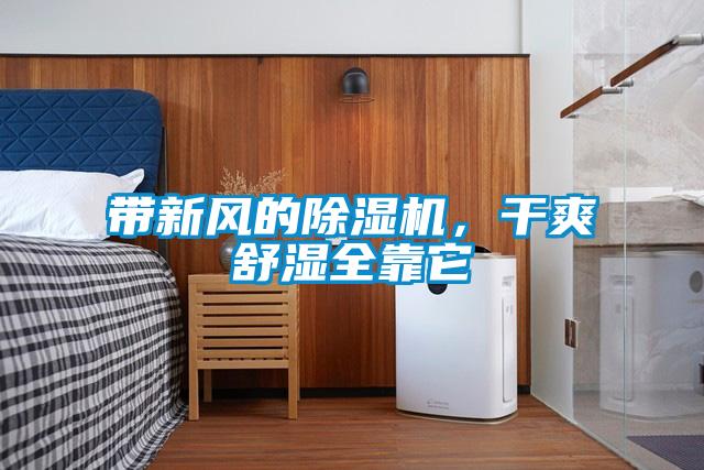帶新風的除濕機，干爽舒濕全靠它