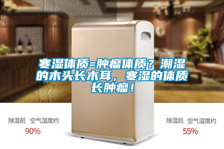 寒濕體質(zhì)=腫瘤體質(zhì)？潮濕的木頭長木耳，寒濕的體質(zhì)長腫瘤！