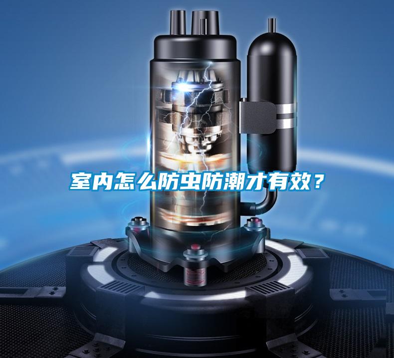 室內怎么防蟲防潮才有效？