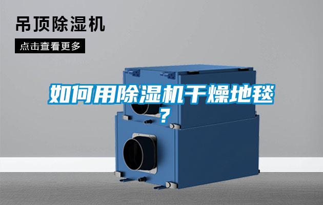 如何用除濕機(jī)干燥地毯？