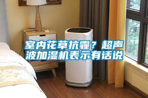 室內(nèi)花草抗霾？超聲波加濕機(jī)表示有話說