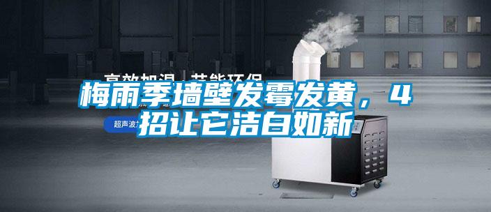 梅雨季墻壁發(fā)霉發(fā)黃，4招讓它潔白如新