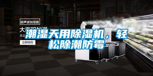 潮濕天用除濕機(jī)，輕松除潮防霉