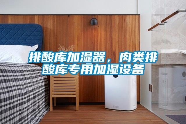 排酸庫加濕器，肉類排酸庫專用加濕設備