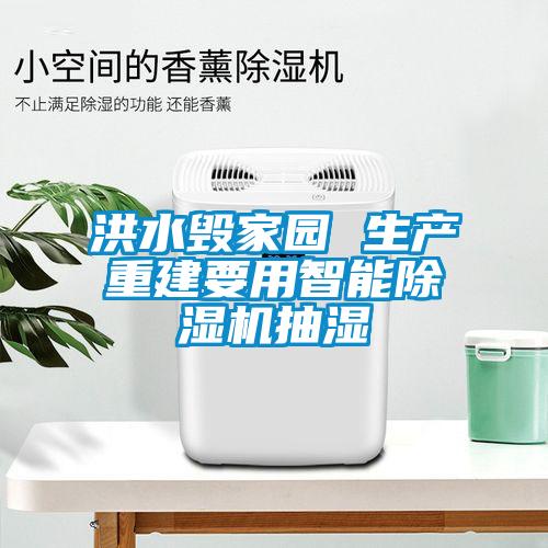 洪水毀家園 生產(chǎn)重建要用智能除濕機抽濕