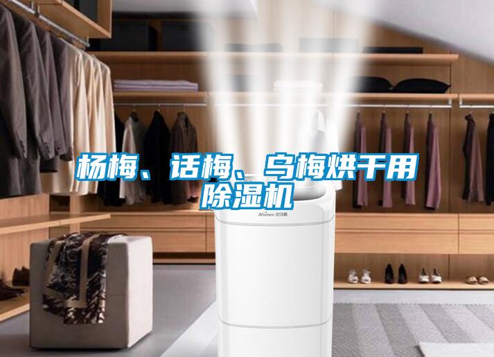 楊梅、話梅、烏梅烘干用除濕機