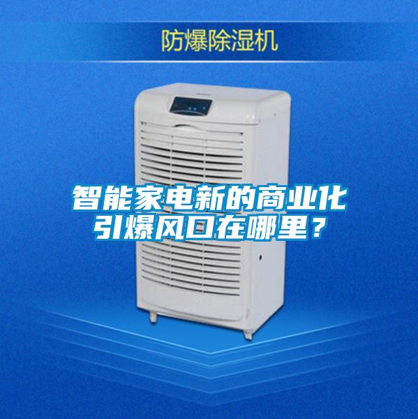 智能家電新的商業(yè)化引爆風(fēng)口在哪里？