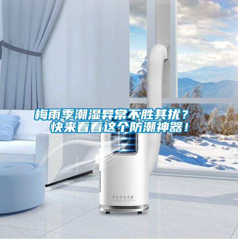 梅雨季潮濕異常不勝其擾？ 快來看看這個防潮神器！