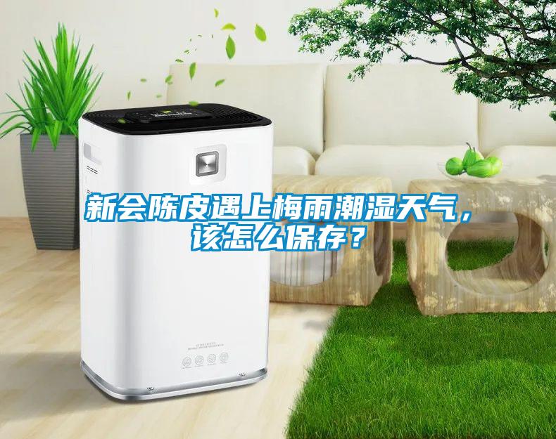 新會(huì)陳皮遇上梅雨潮濕天氣，該怎么保存？