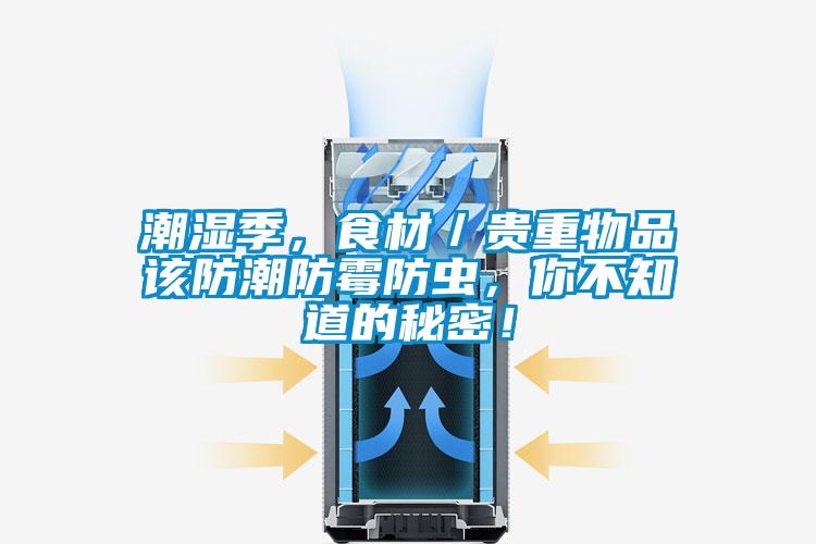 潮濕季，食材／貴重物品該防潮防霉防蟲，你不知道的秘密！