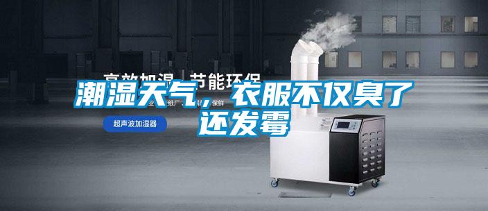 潮濕天氣，衣服不僅臭了還發(fā)霉