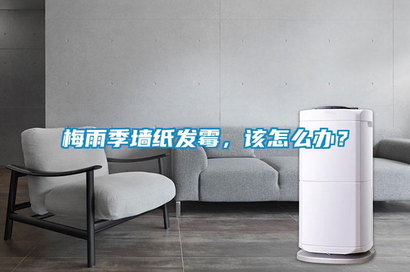 梅雨季墻紙發(fā)霉，該怎么辦？