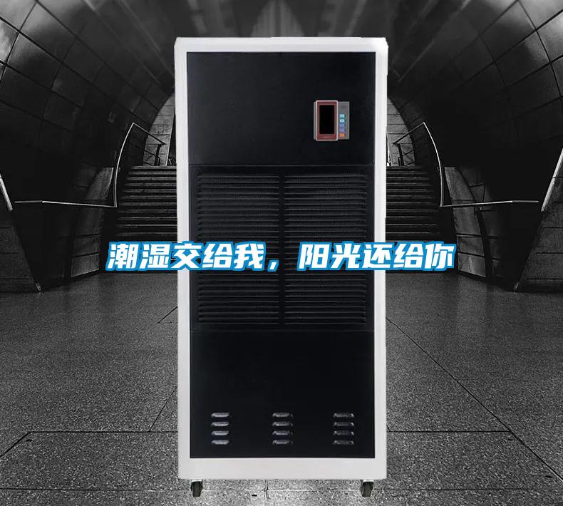 潮濕交給我，陽光還給你