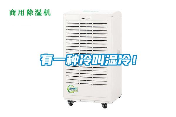 有一種冷叫濕冷！