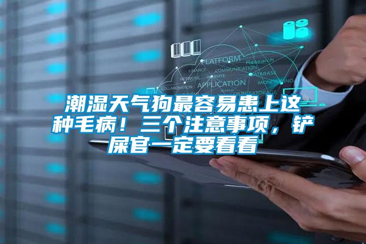 潮濕天氣狗最容易患上這種毛病！三個注意事項，鏟屎官一定要看看