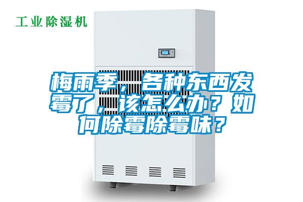 梅雨季，各種東西發霉了，該怎么辦？如何除霉除霉味？