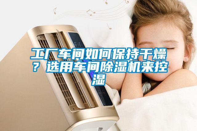 工廠車間如何保持干燥？選用車間除濕機(jī)來控濕
