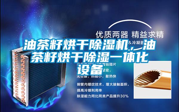 油茶籽烘干除濕機，油茶籽烘干除濕一體化設備