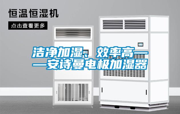 潔凈加濕、效率高——安詩(shī)曼電極加濕器