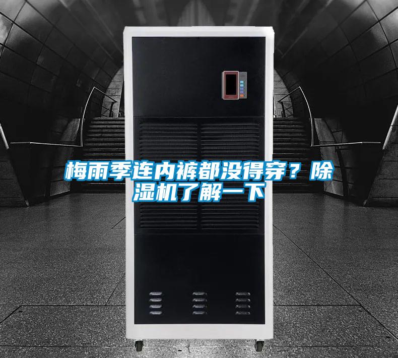 梅雨季連內(nèi)褲都沒得穿？除濕機(jī)了解一下