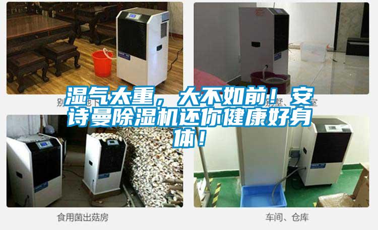 濕氣太重，大不如前！安詩(shī)曼除濕機(jī)還你健康好身體！