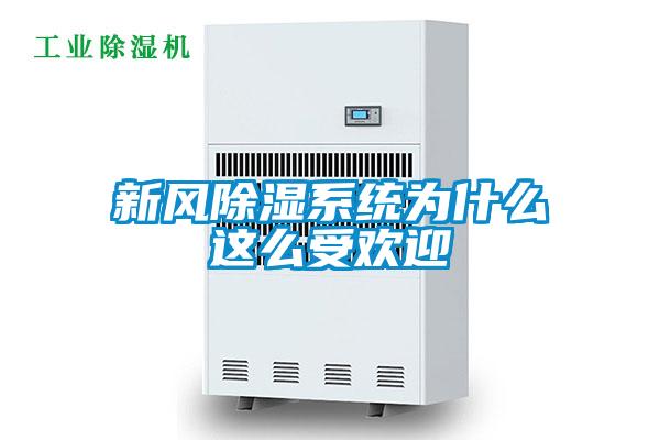 新風除濕系統(tǒng)為什么這么受歡迎