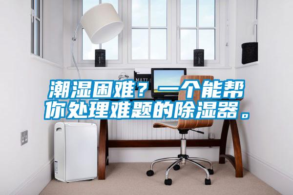 潮濕困難？一個(gè)能幫你處理難題的除濕器。