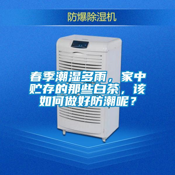 春季潮濕多雨，家中貯存的那些白茶，該如何做好防潮呢？