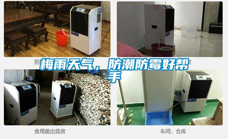 梅雨天氣，防潮防霉好幫手