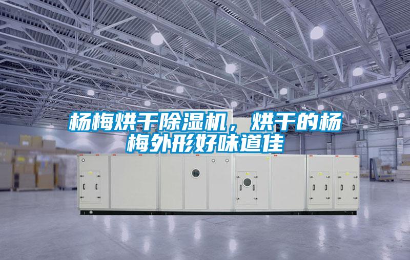 楊梅烘干除濕機(jī)，烘干的楊梅外形好味道佳