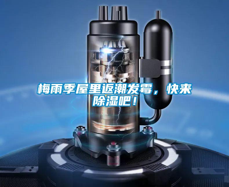 梅雨季屋里返潮發(fā)霉，快來除濕吧！